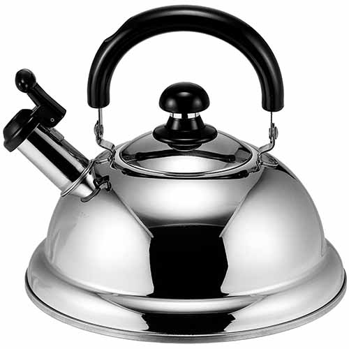 Quick One Tea Kettle