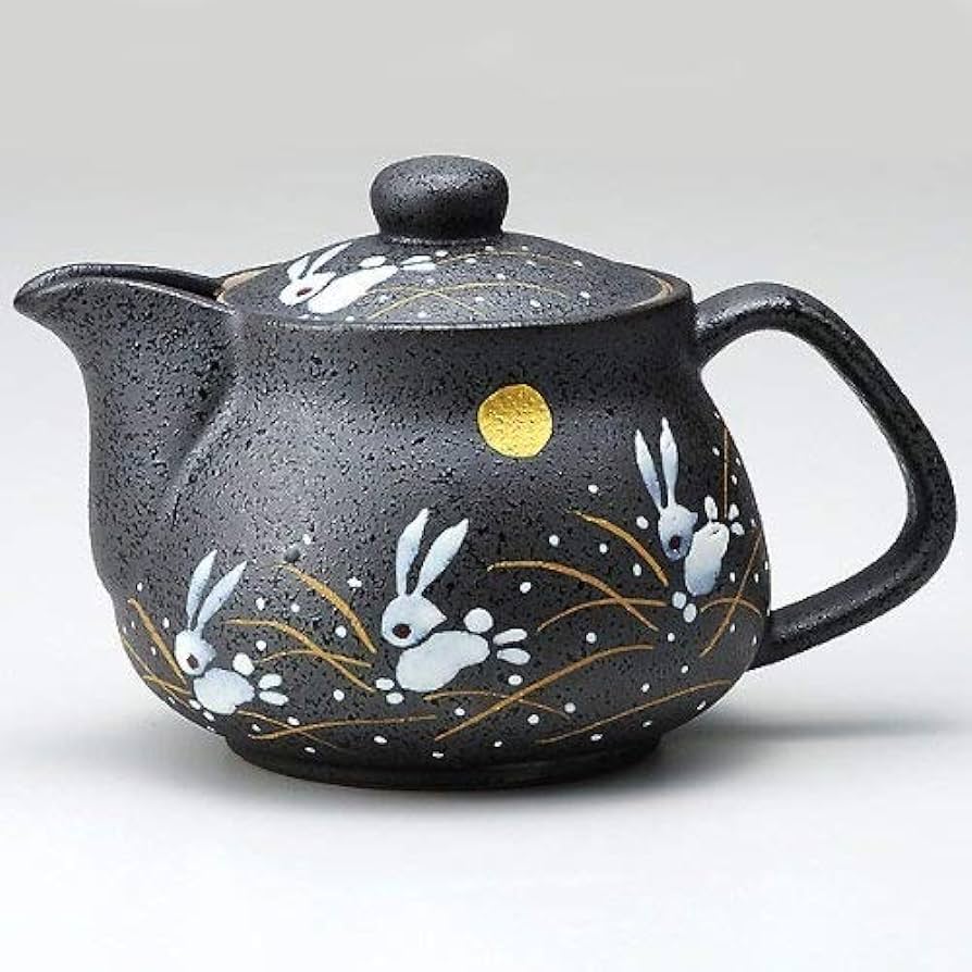 Japanese Electric Tea Kettle