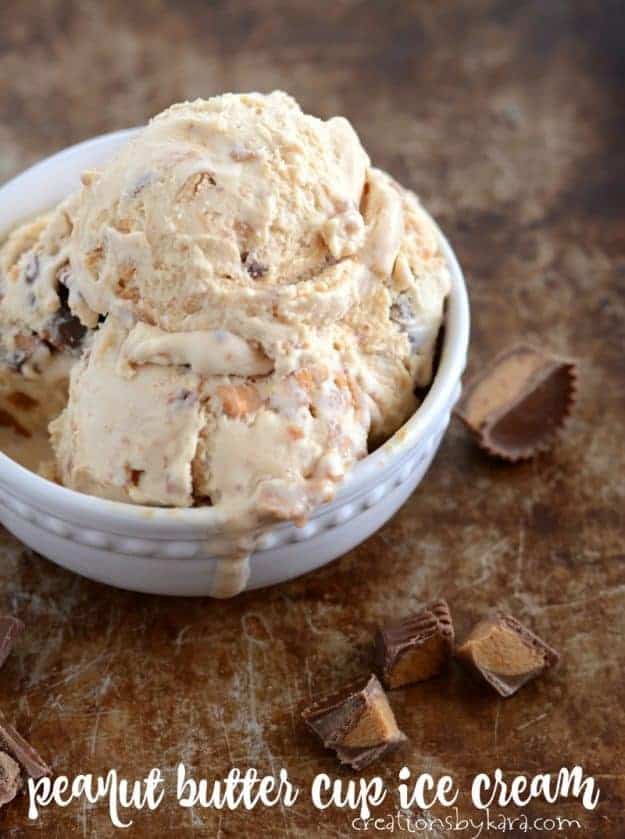 Dash My Pint Ice Cream Maker Recipes